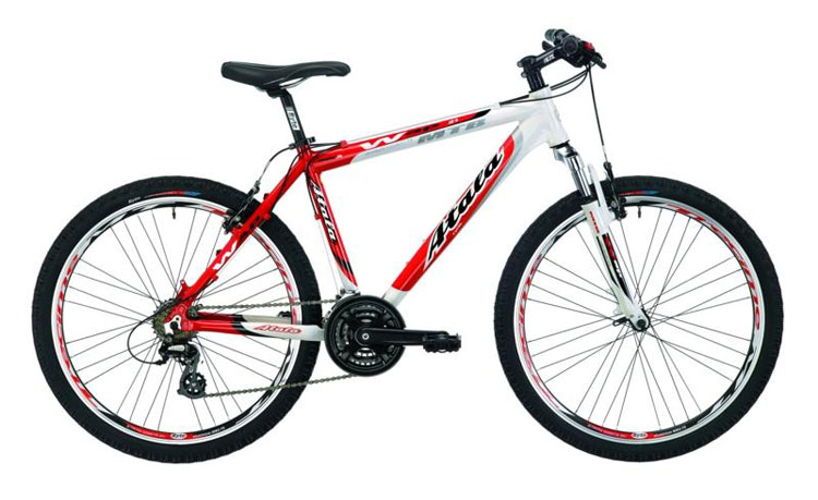 Mountain Bike Basic