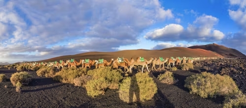 rocas y dromedarios en lanzarote excursión por Timanfaya